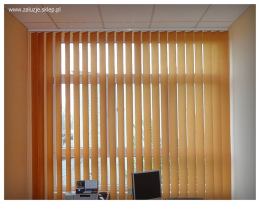 Ochrona prywatności i styl - Verticale biurowe, idealne dopasowanie do wnętrz biurowych.
